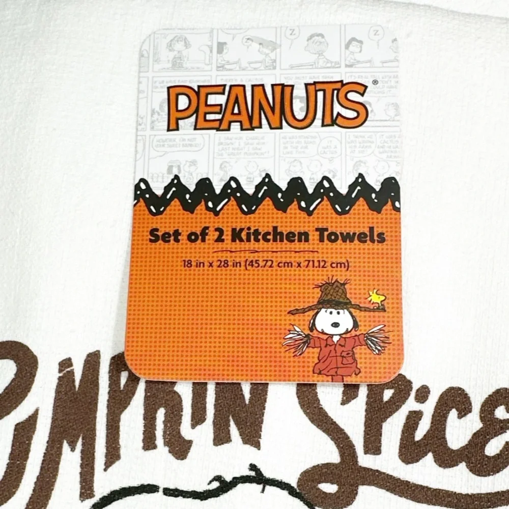 NEW Peanuts PUMPKIN SPICE AND EVERYTHING NICE Kitchen Towel Set/2